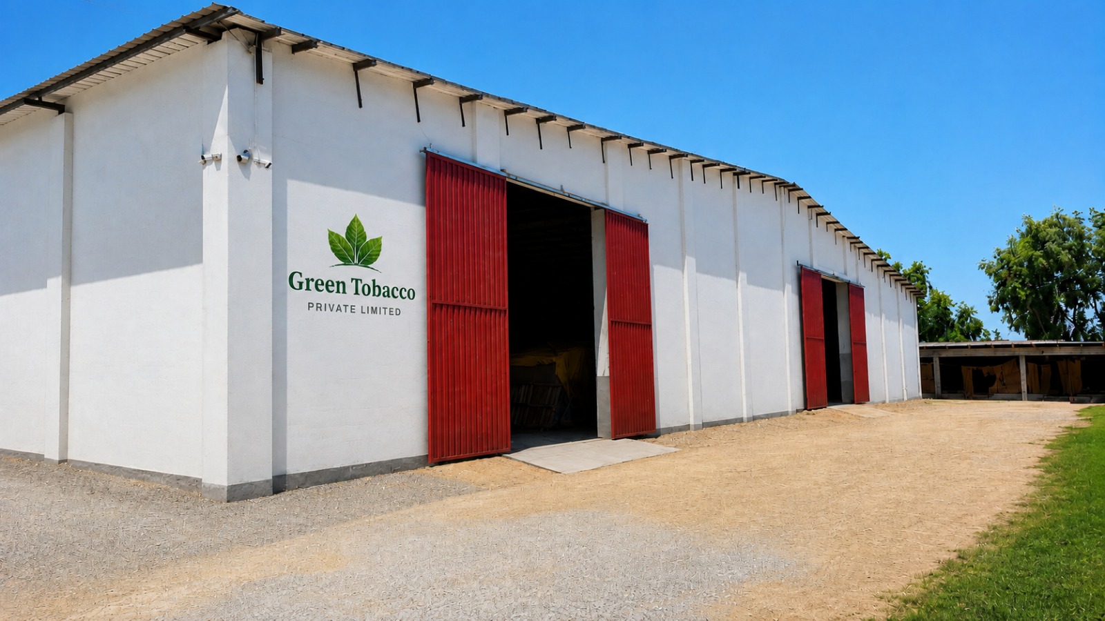 Green Tobacco Private Limited curing barns with red doors under a clear blue sky